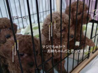 がびーん・・・