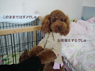 このままでは・・・