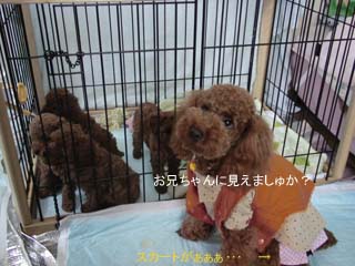 男の子になった?