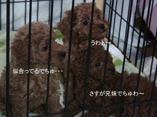 さすがでちゅ♪