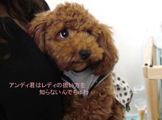 リブちゃん困惑
