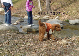 川で・・・