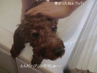 お風呂で・・・