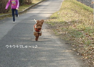 ウキウキ♪