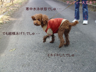 寒中水泳?(汗)
