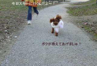 スキーに行って来るね!