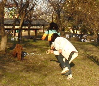 梅干の香り?