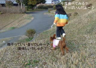 美味しいでしゅか?