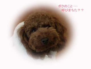 呼んだ?