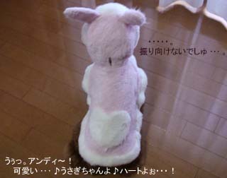 振り向けないでしゅ・・・