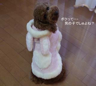 ボクはいったい??