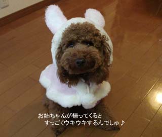 お姉ちゃん大好きでしゅ♪