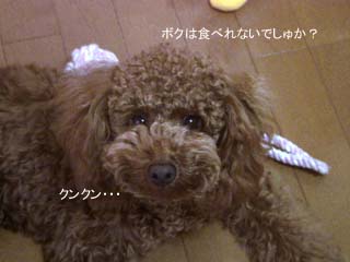 ボクのは?