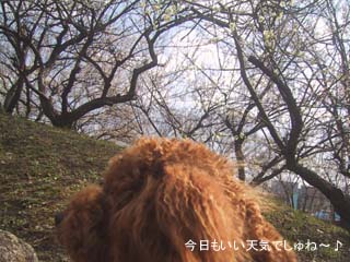 いい天気〜♪