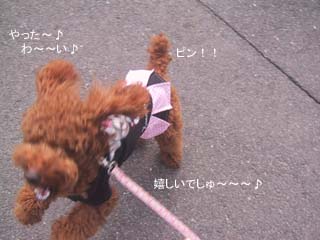 わ〜い♪
