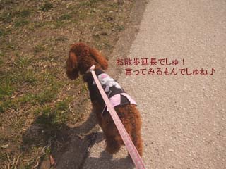 ラッキー♪
