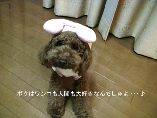 ボクって・・・