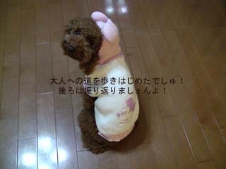 振り返らない?