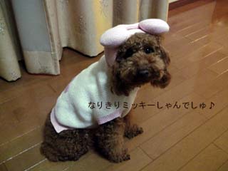 ミッキーしゃん♪