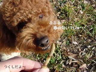 ふふふ・・・