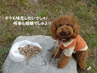 何事も経験?
