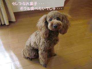 食べたい・・・♪