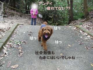 疲れた?