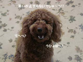 笑いがぁ〜!