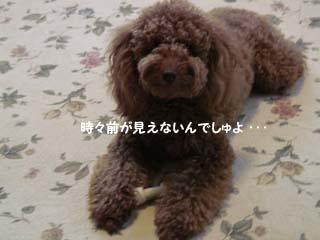 けむくじゃら
