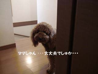 大丈夫?