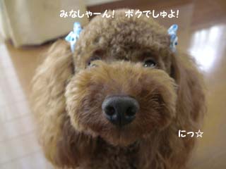 アップでしゅ!