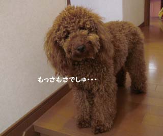 ビフォー!