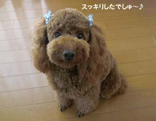 アフター!