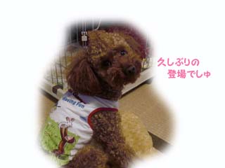モヒカンの振り向き