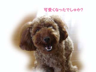 ごっきげん♪