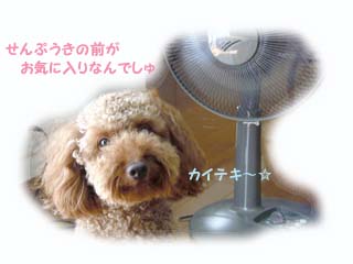 カイテキ〜♪