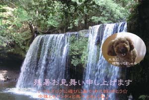 残暑見舞い〜☆