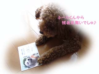 ふーたくん♪