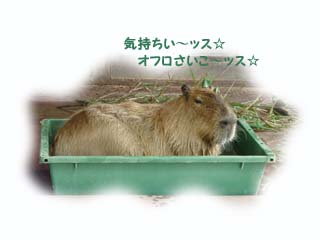 おふろでッス♪