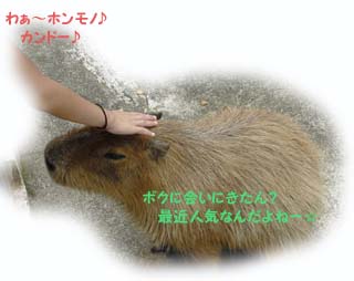 ふれあい♪