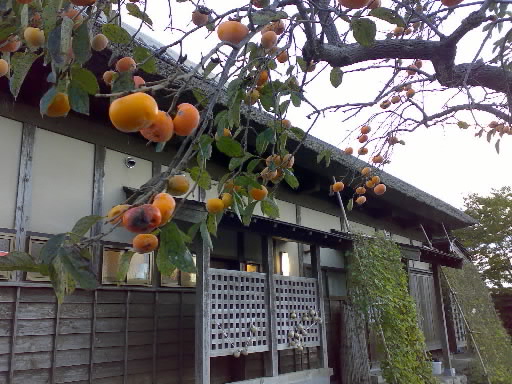 20071013.jpg