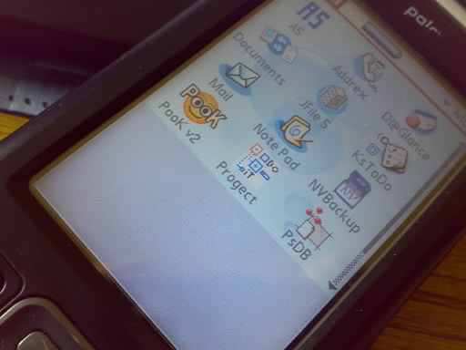 Palm T|X