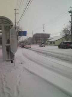 img585_m.jpg
