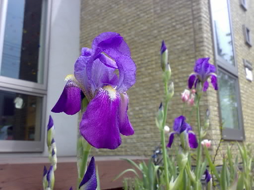 20080510.jpg
