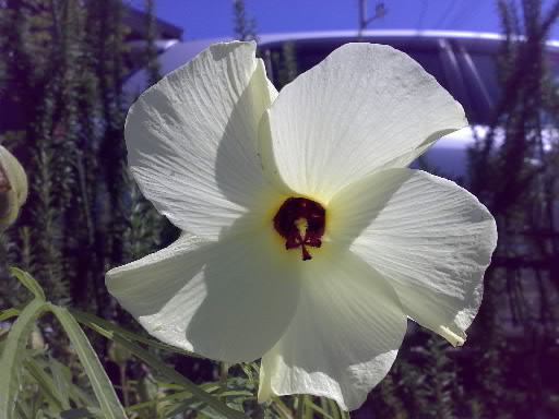 20080831.jpg