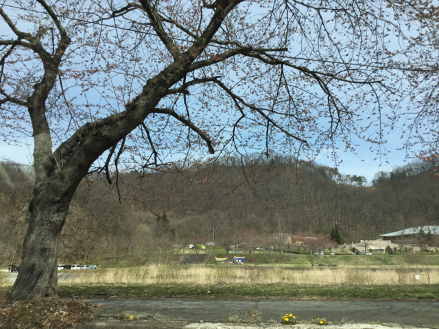 20190414_2845294.jpg