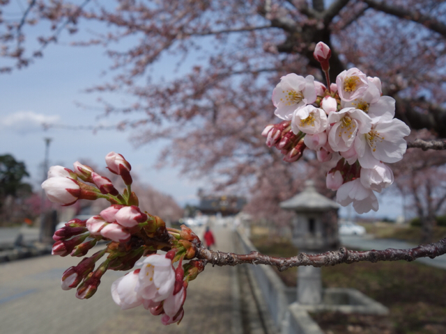 20190414_2845297.jpg