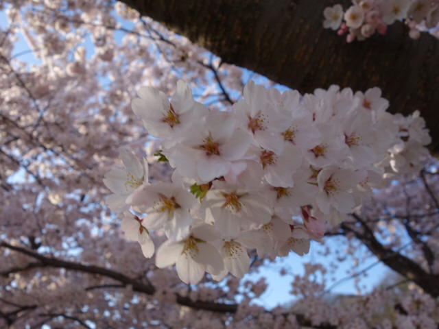 20190419_2848744.jpg