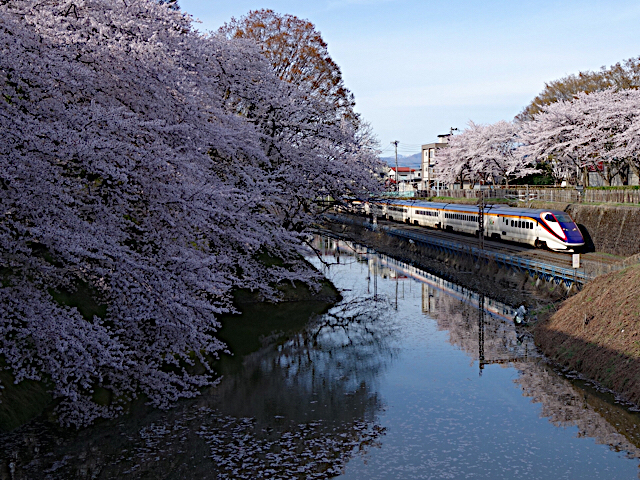 20190420_2849249.jpg