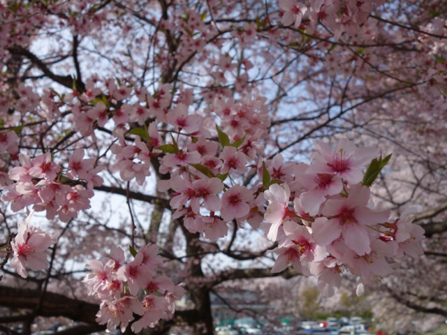 20190420_2849251.jpg